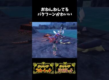 【】おねんねしてるバクフーンがかわいい(^-^)【ポケモンSV】　#shorts  #ポケモンsv #バクフーン