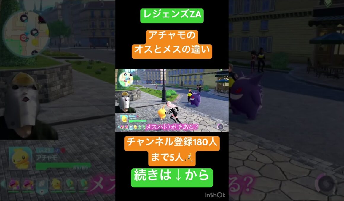 【レジェンズZA】アチャモオスメス見分けかた【ポケモンカップル実況】#ポケモン #ポケモンsv #pokemon #ゲーム実況 #スカーレット #ゲーム #ハトゲーム#ハト#ゲーム実況＃カップル実況