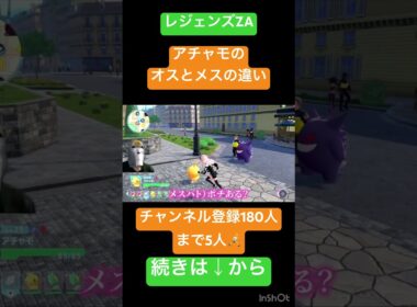 【レジェンズZA】アチャモオスメス見分けかた【ポケモンカップル実況】#ポケモン #ポケモンsv #pokemon #ゲーム実況 #スカーレット #ゲーム #ハトゲーム#ハト#ゲーム実況＃カップル実況