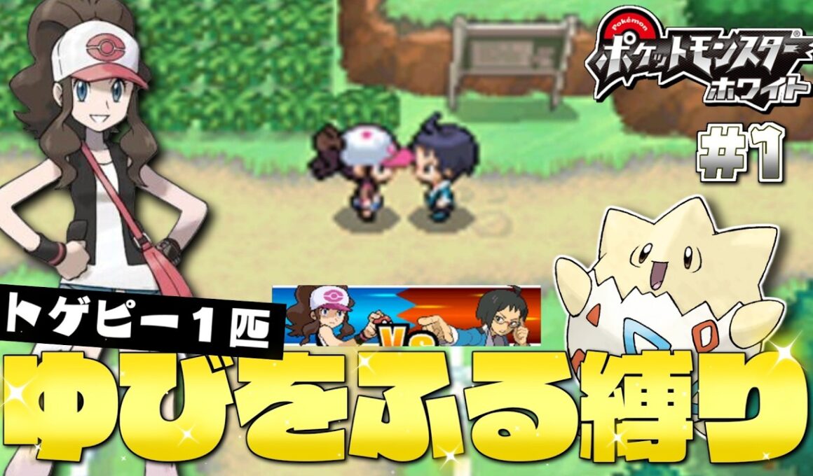 ホワイトをトゲピー１匹のゆびをふるだけでクリアする旅#1【ゆっくり実況】【ポケモンBW】