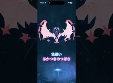 #あかつきのつばさ #色違い 合体#ネクロズマ #ポケモンgo #pokemongo