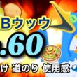 【ポケスリ】この鳥、とどまることを知らず！Lv.60AABウッウの育てたきっかけ、道のり、使用感を伝えます！【Lv.60シリーズ】