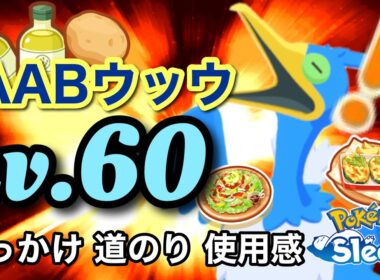 【ポケスリ】この鳥、とどまることを知らず！Lv.60AABウッウの育てたきっかけ、道のり、使用感を伝えます！【Lv.60シリーズ】