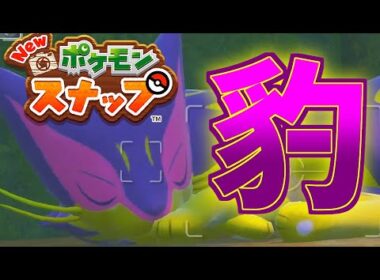 レパルダスかわい～【newポケモンスナップ知識マウント実況#003】