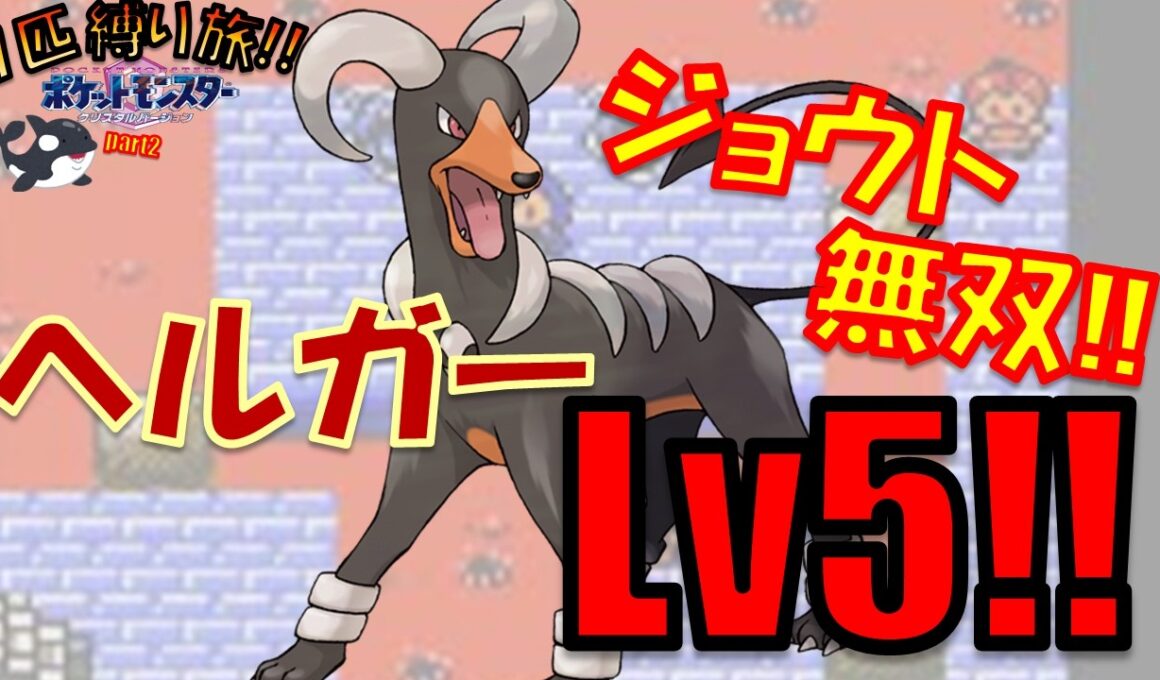【無双】Lv5の最終進化ヘルガーから旅してジョウト地方を蹂躙する!!