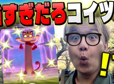 おい想像と違うじゃねぇか…キョダイニャースの強さに四苦八苦した…【ポケモンGO】