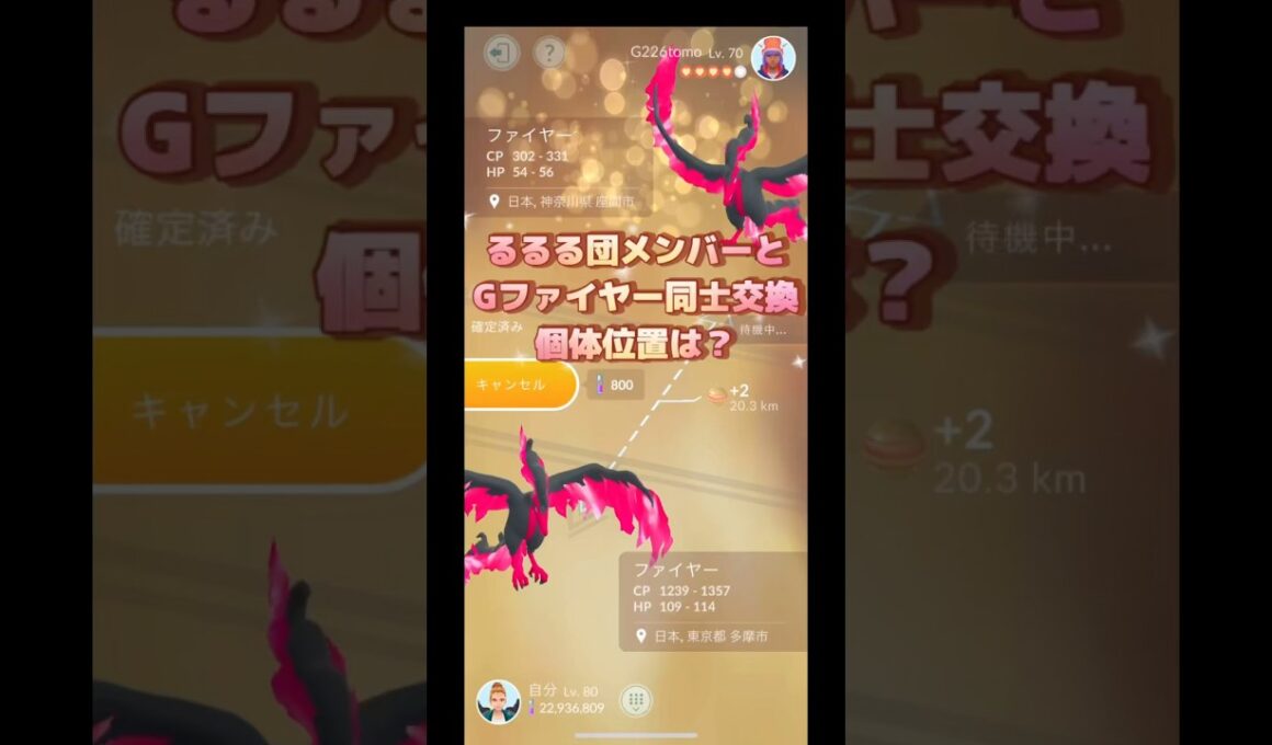 るるる団メンバーとガラルファイヤー同士キラ交換してみた🫣