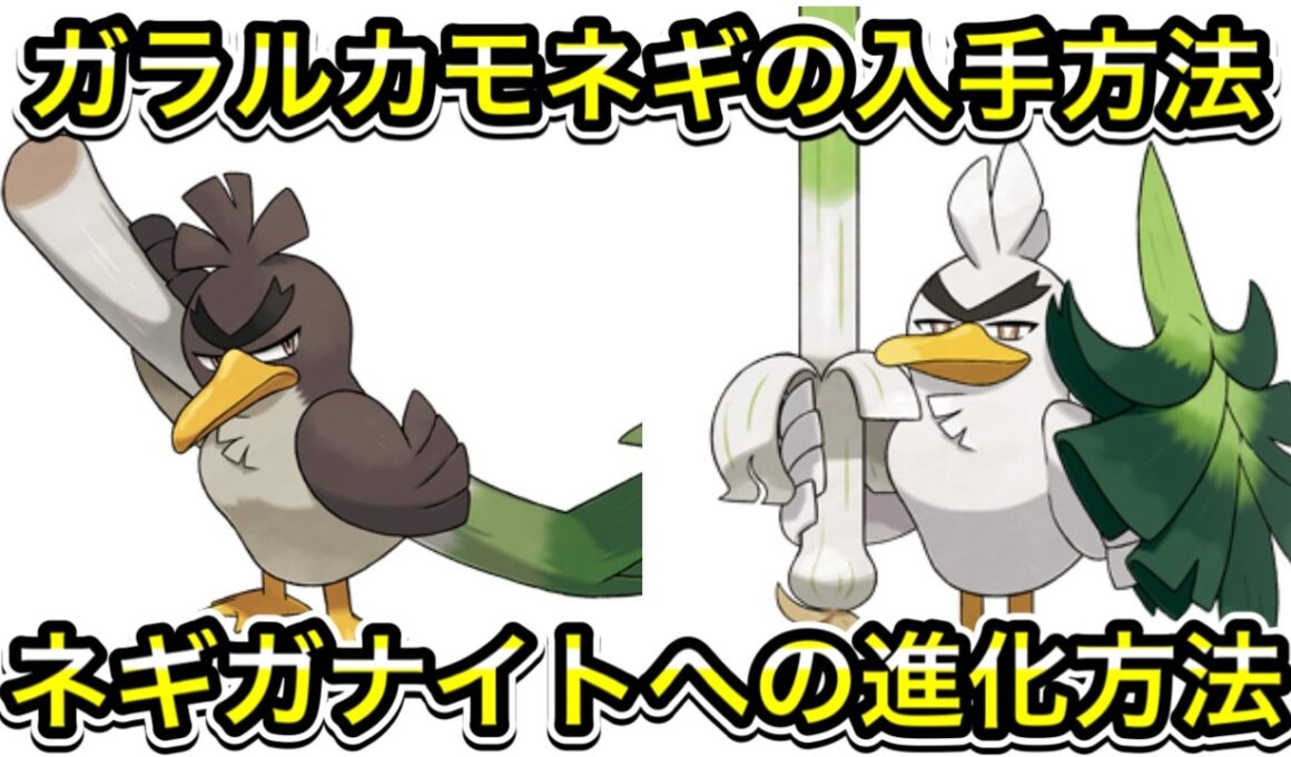 【ポケモンZA】ガラルカモネギの入手方法！ネギガナイトへの進化方法！