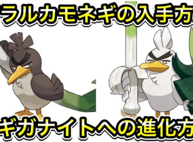 【ポケモンZA】ガラルカモネギの入手方法！ネギガナイトへの進化方法！