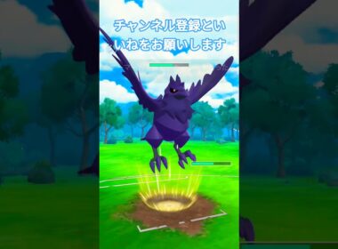 スーパーリーグWin アーマーガア&ハハコモリ ワタリガラス&葉の虫 最弱ポケモン ジャングルハンター #ポケモンgo #gbl #スーパーリーグ#oricon #ポケモン #billboard