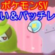 🔴【ポケモンSV】色違いクルマユレイド＋とくせいパッチメタモンレイド＋視聴者同士の交流所（攻略情報・レイド募集・ポケモン交換・ポケモン対戦・攻略情報など）2026年2月23日 夜～