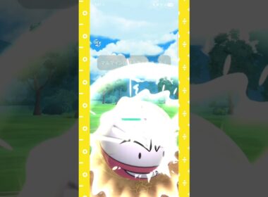 #マジでマルマイン強すぎ卍！#ポケモンgo #ポケモン #pokemongo