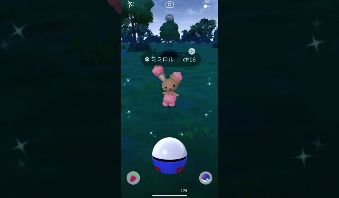 ポケモンGO ミミロル　色違い