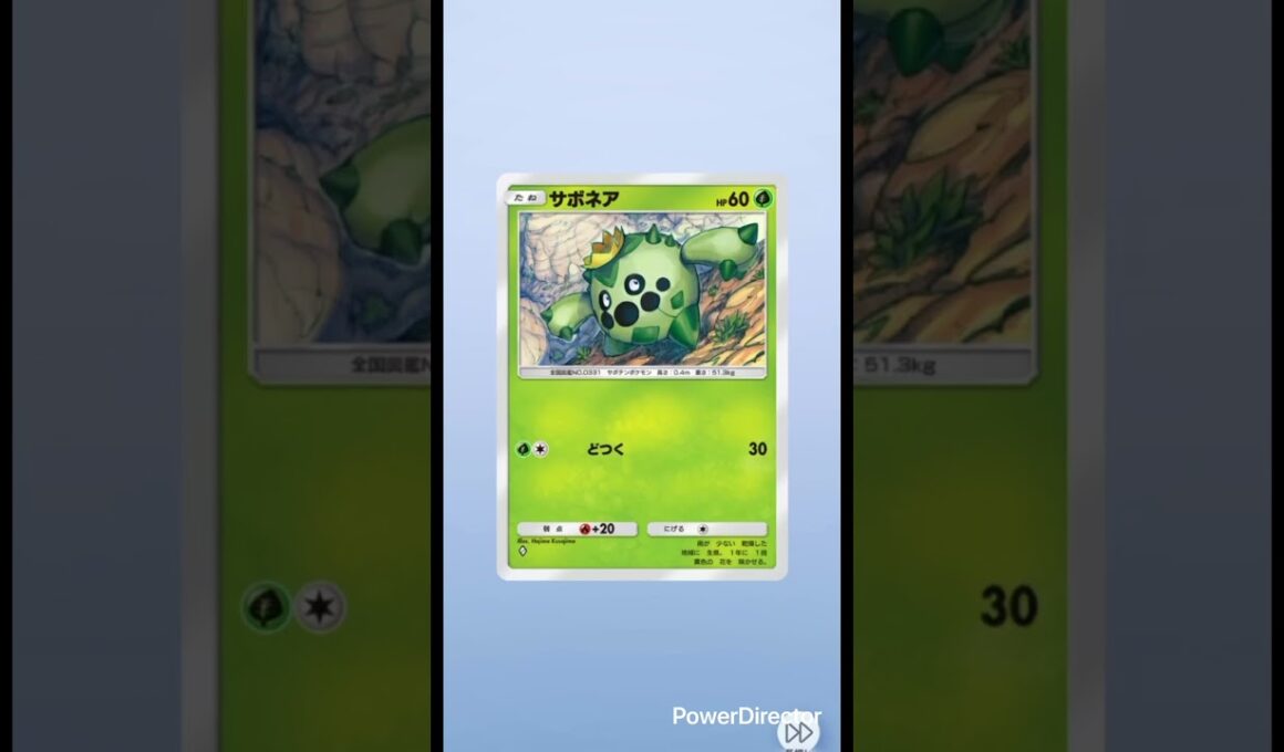 【ポケポケ】毎日ガチャ🔴色違いタッツー#ポケモンカード #ポケカ再販最新情報 #ポケカ #ポケモン #ポケモンsv #ポケカ開封 #ポケモンgo #おれポケ #pokemon