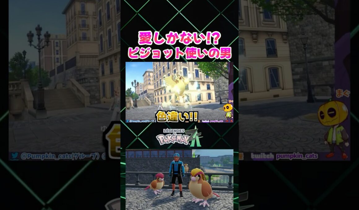 【ポケモンZA】ロマンと愛が凄い!? ピジョット ピジョン ポッポを連れてるNPCに勝利して｢そらをとぶ｣の技マシンを入手【切り抜き】 #shorts