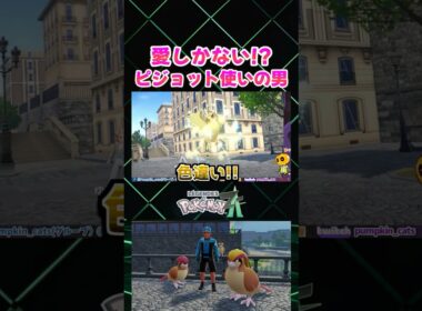 【ポケモンZA】ロマンと愛が凄い!? ピジョット ピジョン ポッポを連れてるNPCに勝利して｢そらをとぶ｣の技マシンを入手【切り抜き】 #shorts
