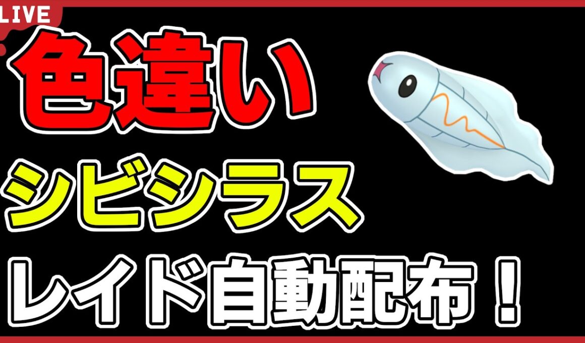 【ワンパン最速】色違いシビシラスレイド自動配布！【ポケモンSV】
