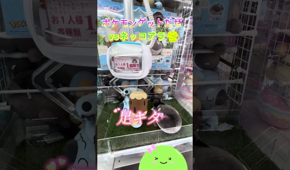 ポケモンゲットだぜ！✨vsネッコアラ🐨3️⃣  #shorts