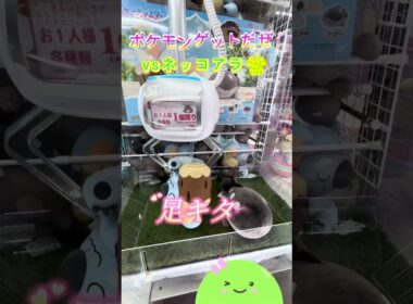 ポケモンゲットだぜ！✨vsネッコアラ🐨3️⃣  #shorts