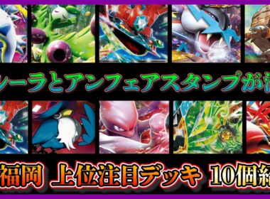 【CL環境考察】CL福岡終了！ジムバトルで借りて優勝できたメガアブソルガルーラ徹底解説！上位デッキ10個も紹介して環境も考察！【ポケカ】