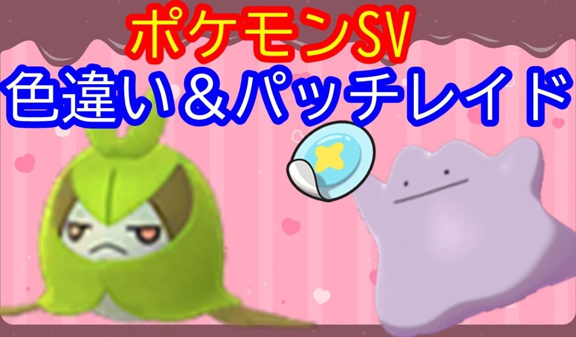 🔴【ポケモンSV】色違いクルマユレイド＋とくせいパッチメタモンレイド＋視聴者同士の交流所（攻略情報・レイド募集・ポケモン交換・ポケモン対戦・攻略情報など）2026年2月25日 朝～