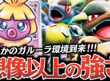 『ムチュール』入り『バッフロンガルーラ』が面白いぞ！！！福岡CLでも大暴れしたメガガルーラはやっぱり破格の性能でした！！！【vsメガフシギバナex】