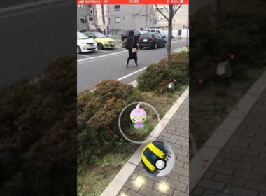 ポケモンGO  ピンクポワルン