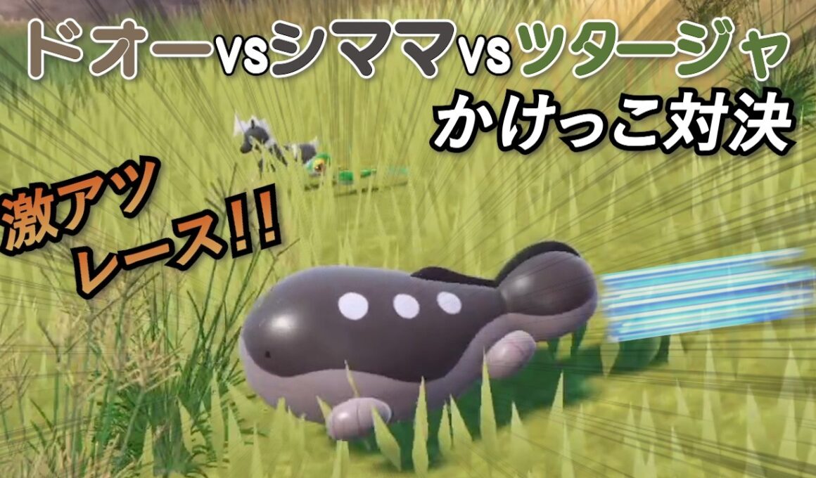 激アツレース！ドオーvsシママvsツタージャ かけっこ対決！他【ポケモンSV】