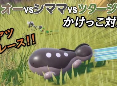 激アツレース！ドオーvsシママvsツタージャ かけっこ対決！他【ポケモンSV】