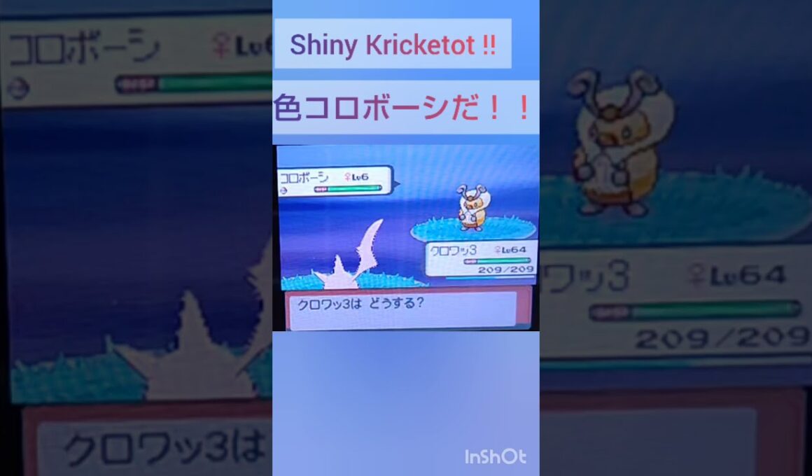 【PokémonDP】The diary Capturing shiny Pokémon's　Day28　Kricketot　【ポケモンDP】色違い捕獲日記　28日目　コロボーシ　#shorts