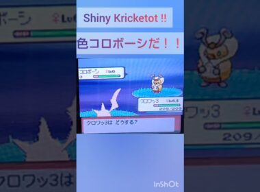 【PokémonDP】The diary Capturing shiny Pokémon's　Day28　Kricketot　【ポケモンDP】色違い捕獲日記　28日目　コロボーシ　#shorts