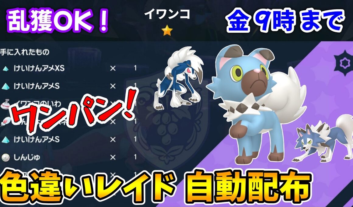 乱獲OK！イワンコ色違いレイド自動配布会！【ポケモンSV】