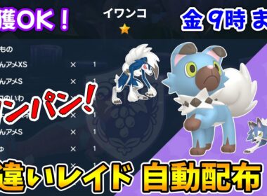 乱獲OK！イワンコ色違いレイド自動配布会！【ポケモンSV】