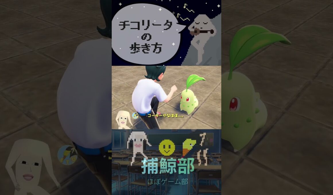 チコリータの歩き方【ポケモンza】