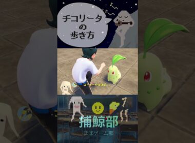 チコリータの歩き方【ポケモンza】