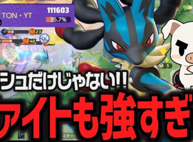 丁寧なレーン戦と漢のグロウパンチでファイトでも最強なTON･GGの『メガルカリオ』【ポケモンユナイト】