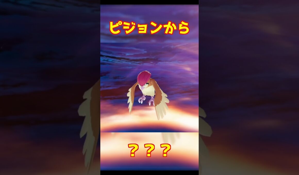 ピジョン進化 #ポケモンza #shorts