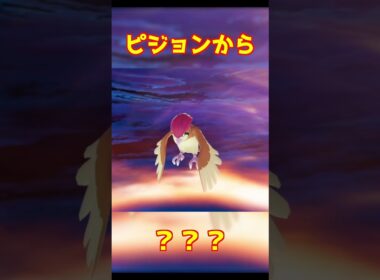 ピジョン進化 #ポケモンza #shorts