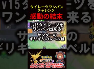 Lv15タイレーツをワンパン出来るサンダーのレベルは○○