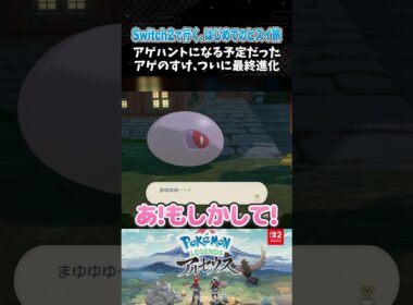 アゲハントになる予定だったアゲのすけ、ついに最終進化【ポケモンアルセウス 】【Pokémon LEGENDS アルセウス┊Switch2】【配信切り抜き】 #Shorts