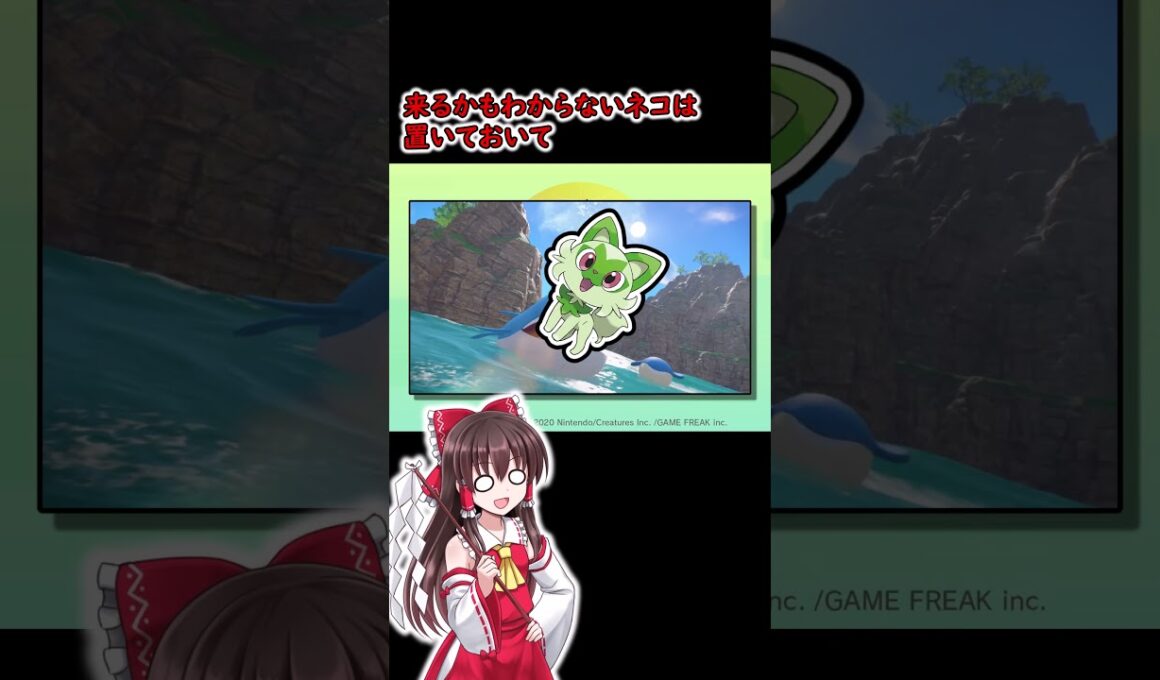 【ポケモン風波】祝☆ホエルオー内定！