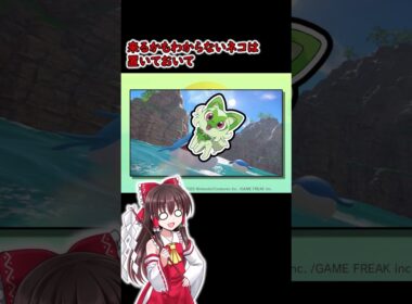 【ポケモン風波】祝☆ホエルオー内定！