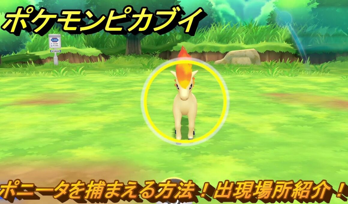 ポケモンピカブイ　ポニータを捕まえる方法！出現場所紹介！図鑑コンプへの道！　【ポケットモンスター Let's Go! ピカチュウ・イーブイ】
