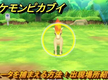 ポケモンピカブイ　ポニータを捕まえる方法！出現場所紹介！図鑑コンプへの道！　【ポケットモンスター Let's Go! ピカチュウ・イーブイ】
