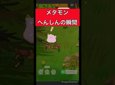 【ポケモンスリープ】メタモンがへんしんする演出が豪華すぎる！ついに完璧な変身を...！？