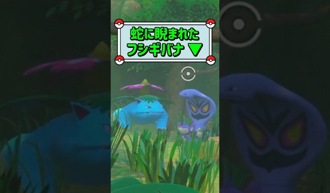 「蛇に睨まれたフシギバナ ▼」　#ポケモン　#ポケモンスナップ　#ポケスナ　#shorts