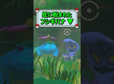 「蛇に睨まれたフシギバナ ▼」　#ポケモン　#ポケモンスナップ　#ポケスナ　#shorts
