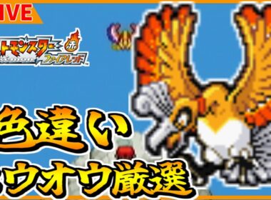 🔴【ポケモンFRLG】 へそのいわ　色違いホウオウ粘り　6501~ 【ポケットモンスター ファイアレッド】