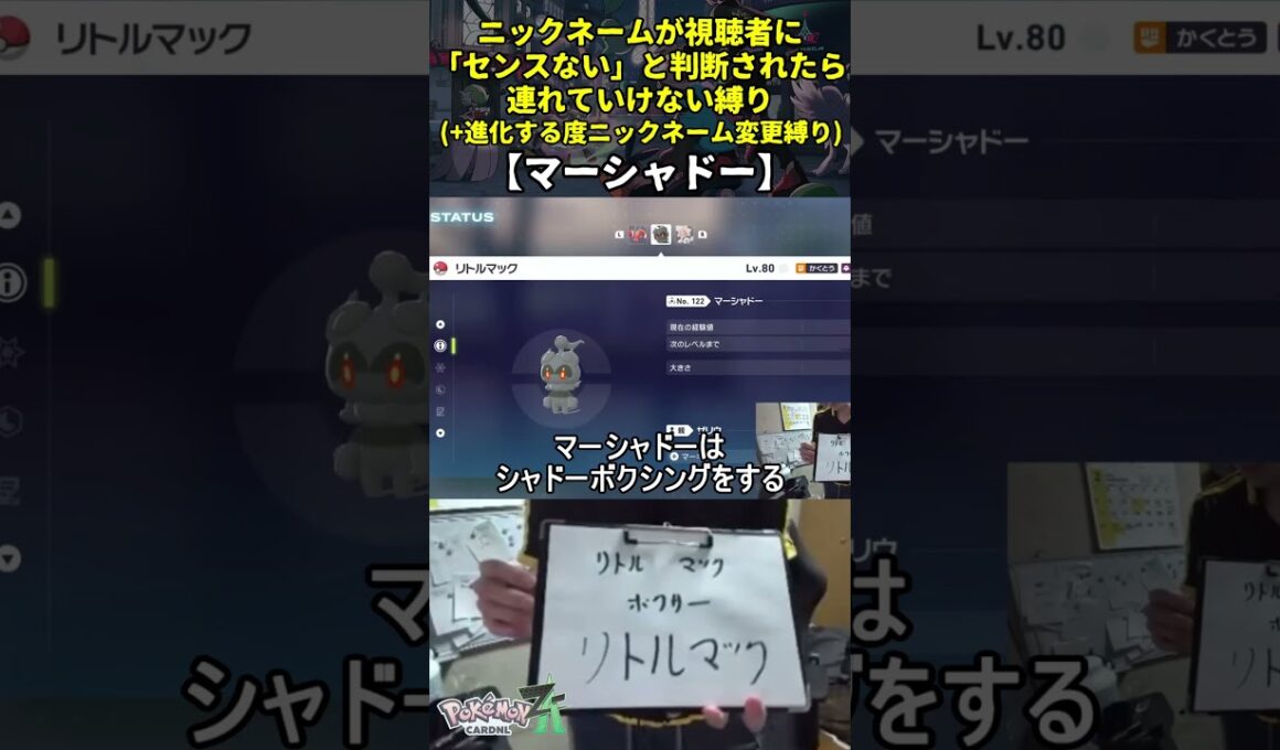 【ポケモンZA】ハイセンスニックネーム縛り命名集(マーシャドー)