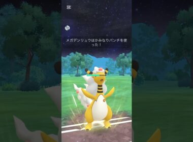 メガデンリュウはやれるのか？